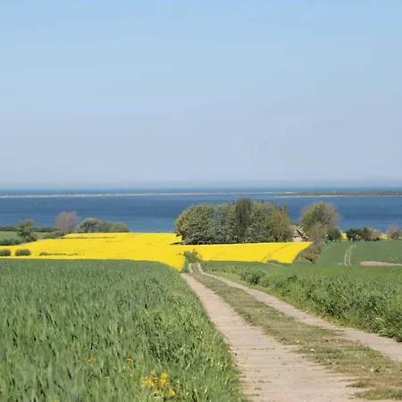 Salzhaff Strandhaeuser Mit Kamin U Pepelow
